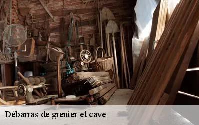 Débarras de grenier et cave  64460