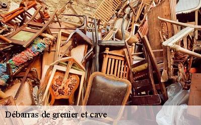 Débarras de grenier et cave  64150