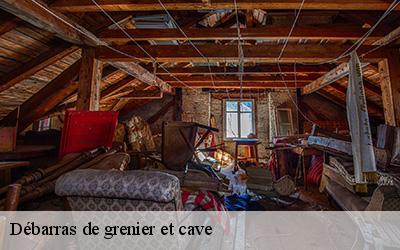 Débarras de grenier et cave  64130