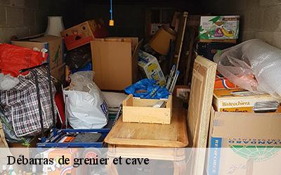 Débarras de grenier et cave  64130