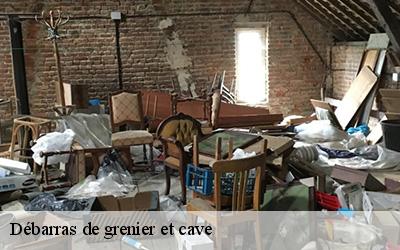 Débarras de grenier et cave  64450
