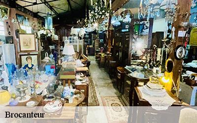 Brocanteur 64520