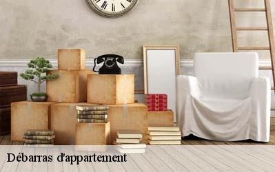 Débarras d'appartement  64500