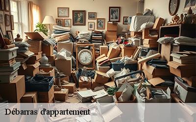 Débarras d'appartement  64800