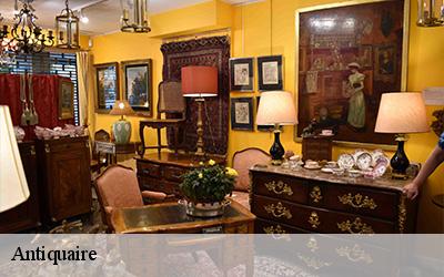 Antiquaire  64120