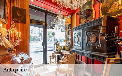 Antiquaire  64450
