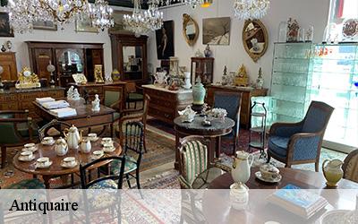 Antiquaire  64450