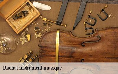 Rachat instrument musique  64120